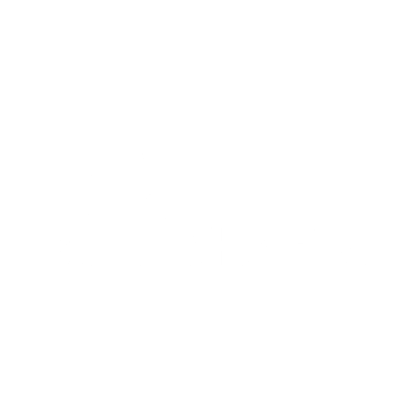 Bullshark Main Logo _White Bullshark Main Logo _White