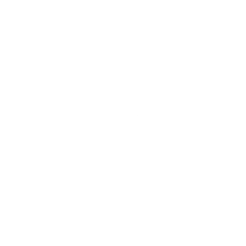 Ritz Safety Check Logo _White Ritz Safety Check Logo _White